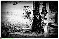 Plonsen - nr. 0213